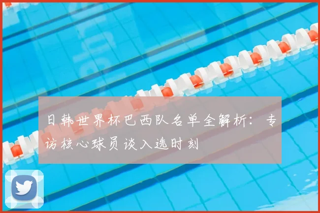 日韩世界杯巴西队名单全解析：专访核心球员谈入选时刻