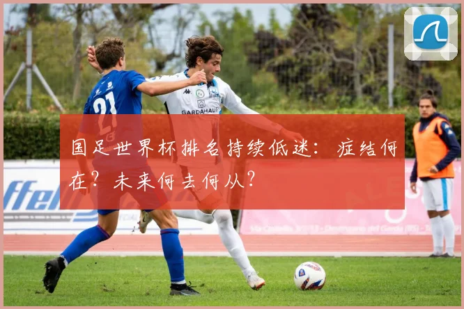 国足世界杯排名持续低迷：症结何在？未来何去何从？