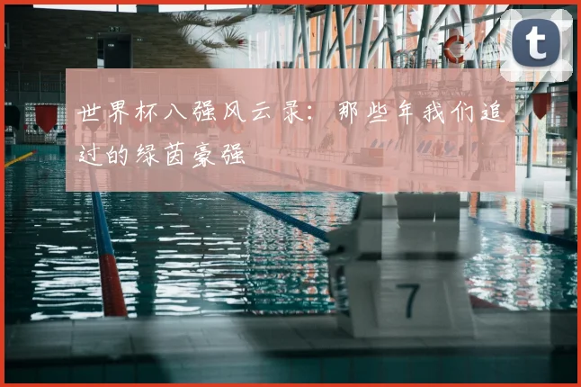 世界杯八强风云录:那些年我们追过的绿茵豪强
